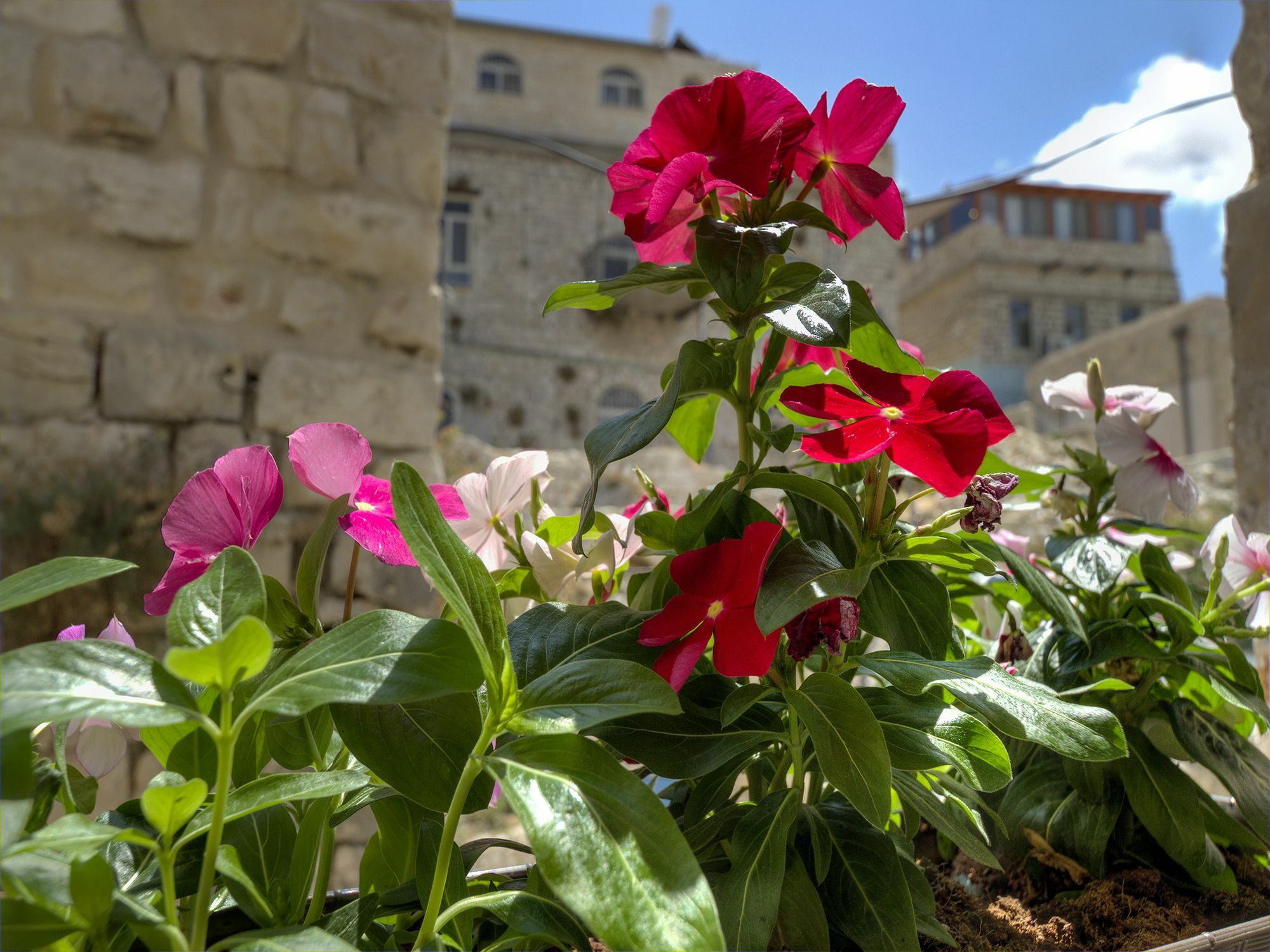 Willa Nofesh Baatika Safed Zewnętrze zdjęcie