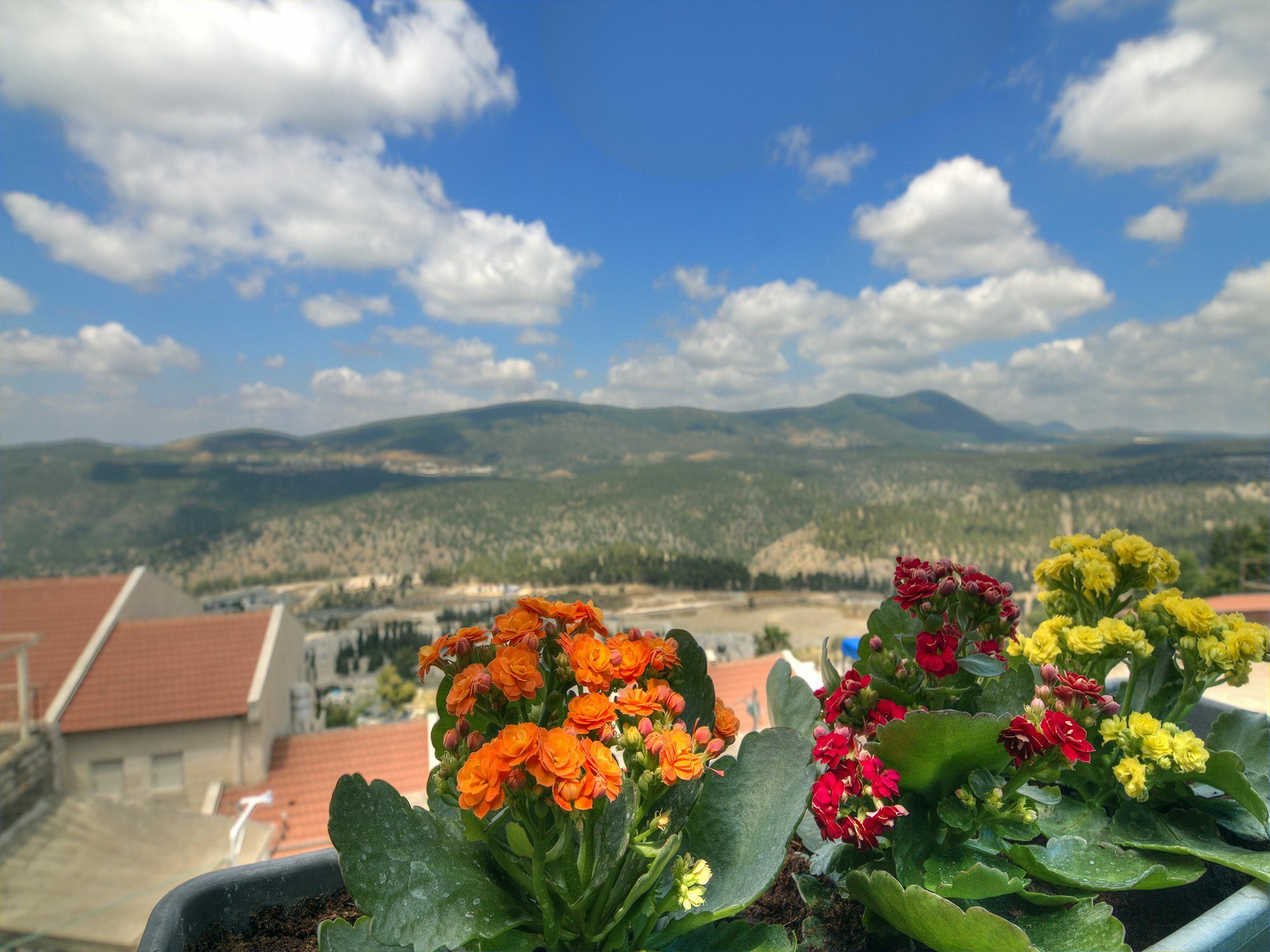 Willa Nofesh Baatika Safed Zewnętrze zdjęcie
